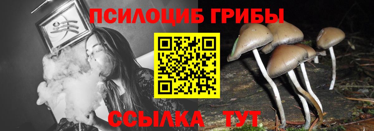 Псилоцибиновые грибы ЛСД  Вход с VPN  Троицк 